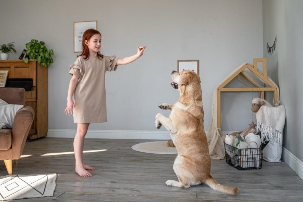 Ogrzewanie podłogowe zyskuje na popularności w nowoczesnych domach, oferując równomierny rozkład ciepła i zwiększając komfort mieszkańców